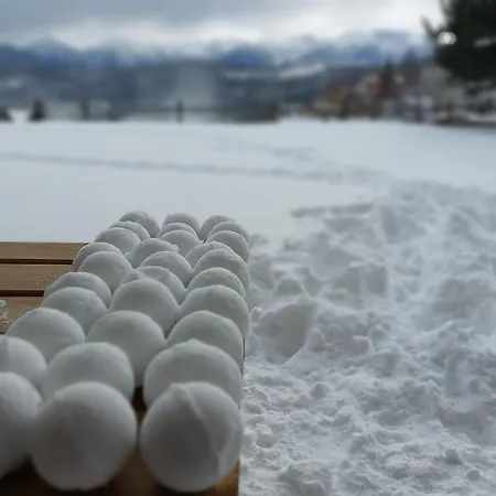 伊托勒杜伯杰酒店 公寓式酒店