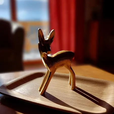 伊托勒杜伯杰酒店 公寓式酒店 安格勒