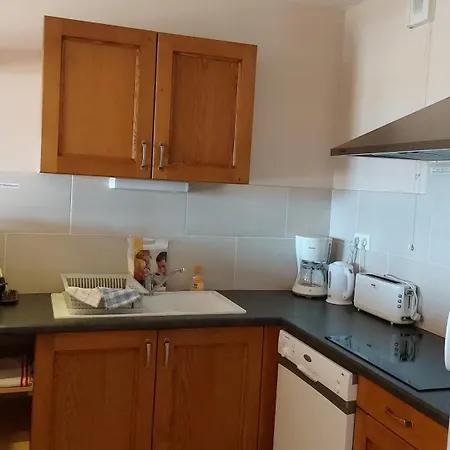 伊托勒杜伯杰酒店 4* 安格勒